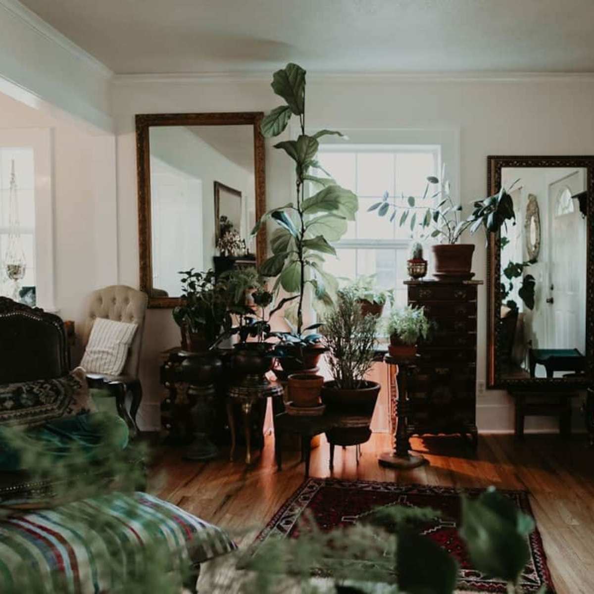 The living room features a mix of vintage furniture and numerous indoor plants, with large mirrors reflecting light and greenery.