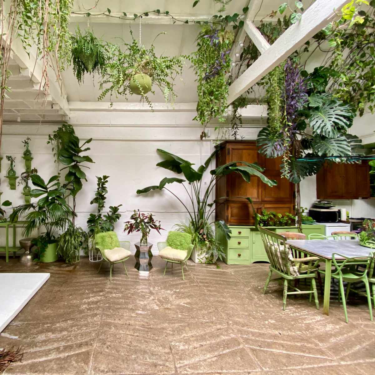 A bright indoor space filled with various plants, showcasing a green and white color scheme with simple furniture and a dining area.