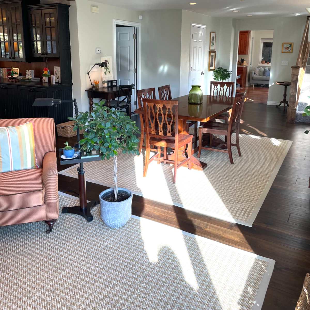 A well-lit living space featuring a seating area with a sofa, a dining table with chairs, and a small potted plant near a woven rug.