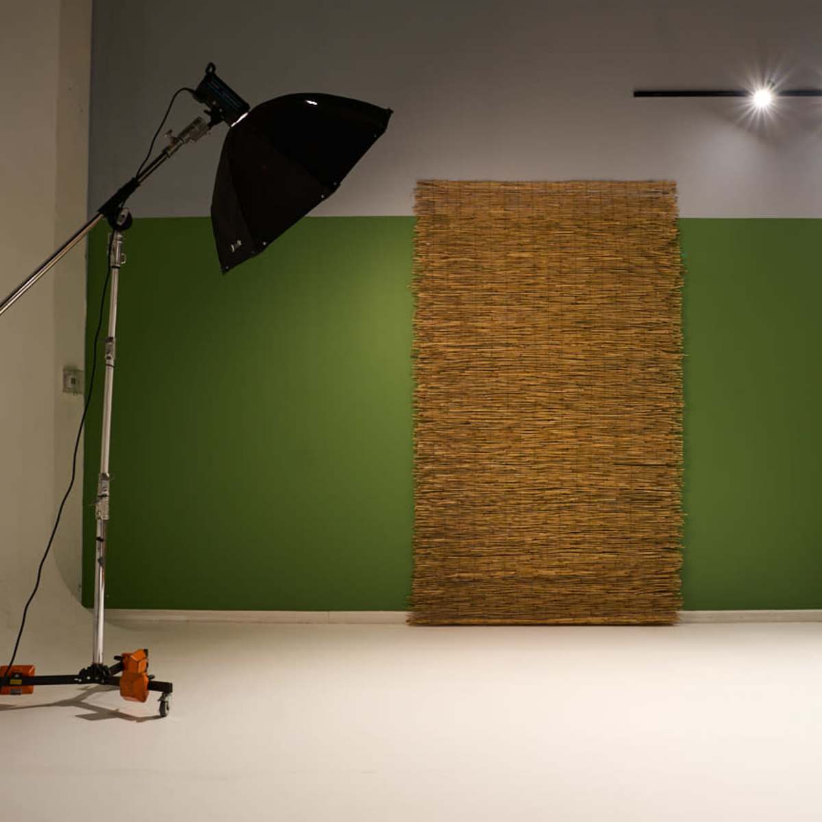 A studio setting with a large softbox light positioned to the left, a textured wall installation in natural tones, and brightly colored walls.