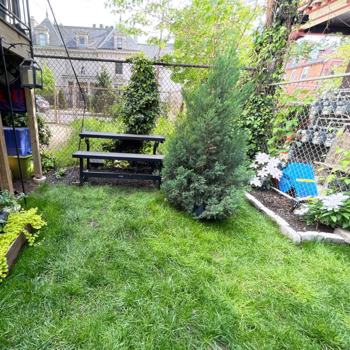 A small backyard area featuring a wooden bench, green grass, potted plants, and a tall coniferous tree, enclosed by a fence and buildings in the background.
