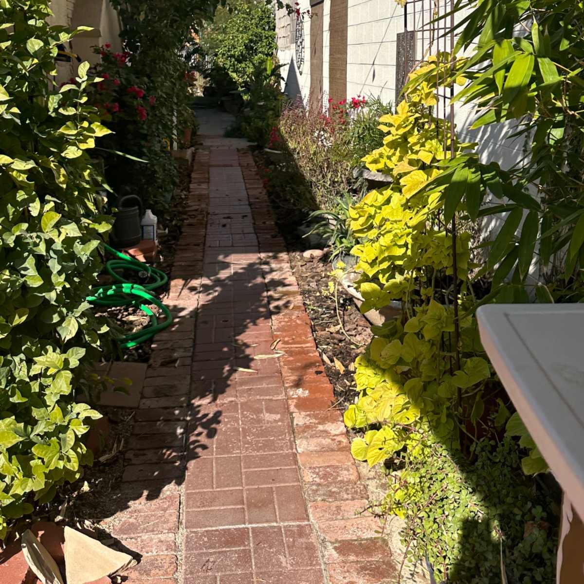 A brick path leads through a lush garden archway marked "WELLNESS CENTER."