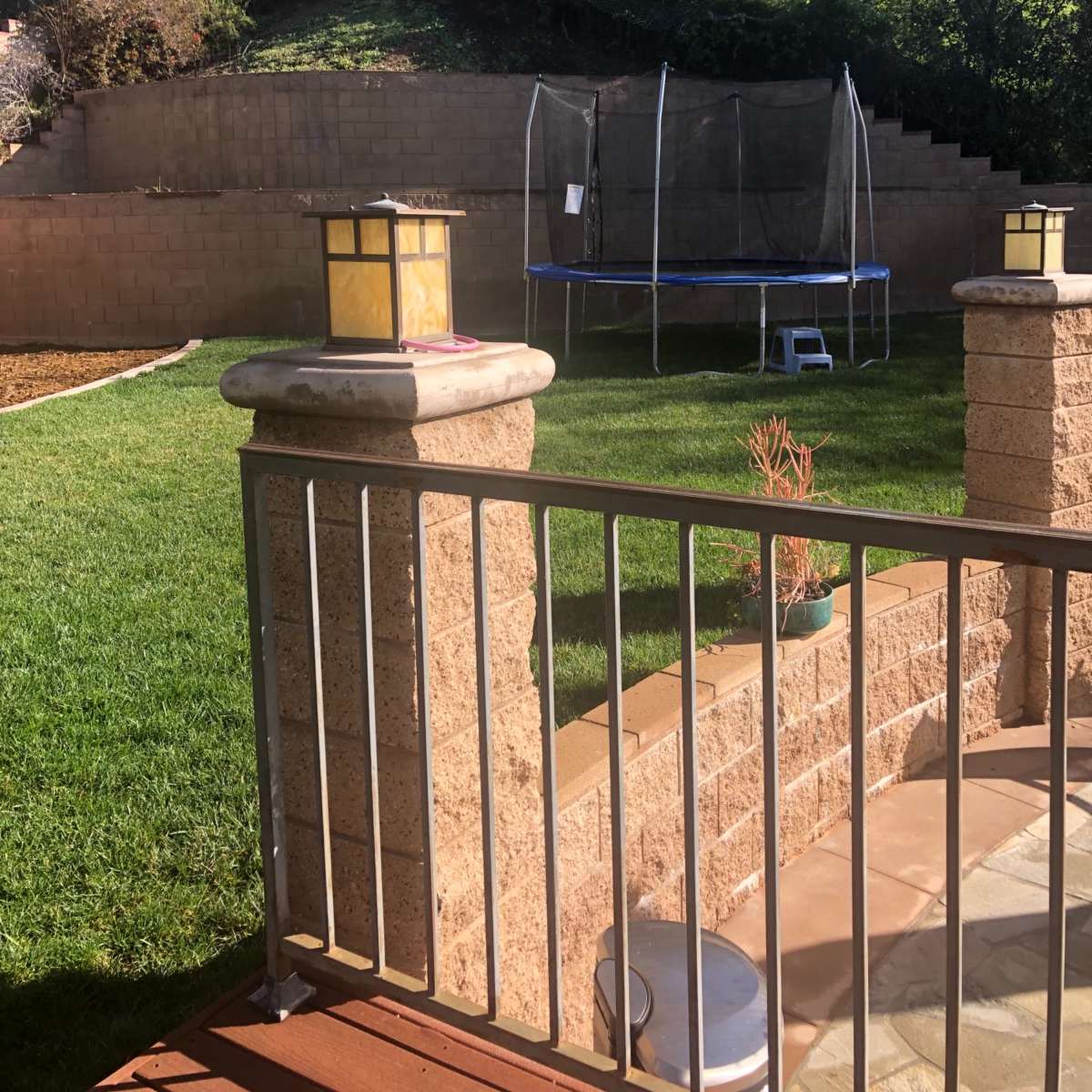 A backyard features a grassy area with a trampoline enclosed by a net on a hillside, surrounded by shrubs and trees.