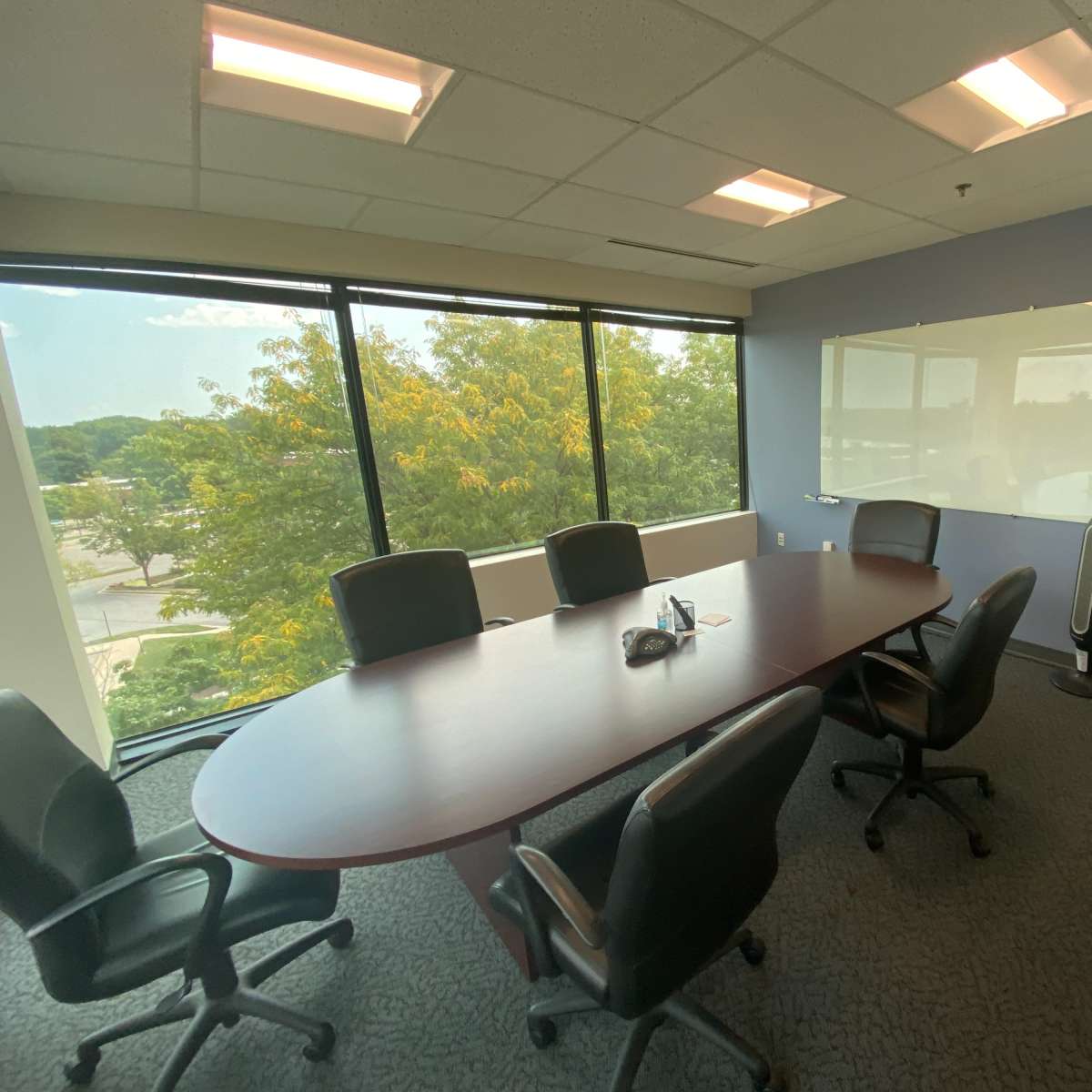 Naturally Lit 8-Person Conference Room 300 in Hanover Image in , Hanover, MD