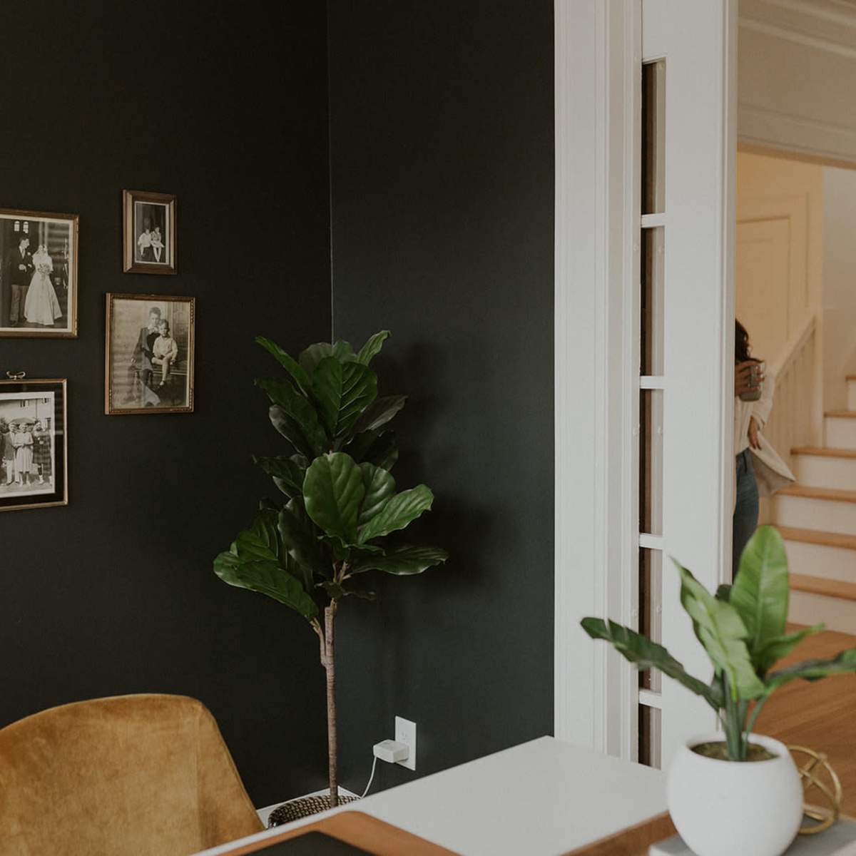 A dark green wall features several framed photographs, alongside a potted plant and a desk with a gold lamp, while a staircase is visible in the background.