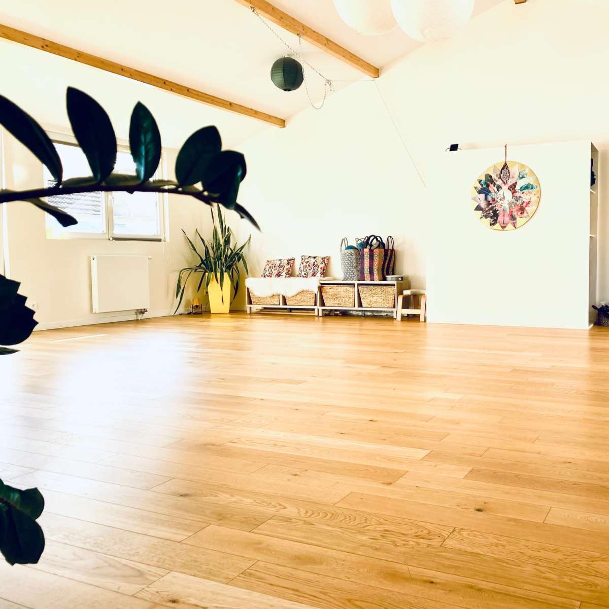 A spacious, well-lit room with wooden flooring, featuring a seating area, a decorative wall piece, and a few plants.