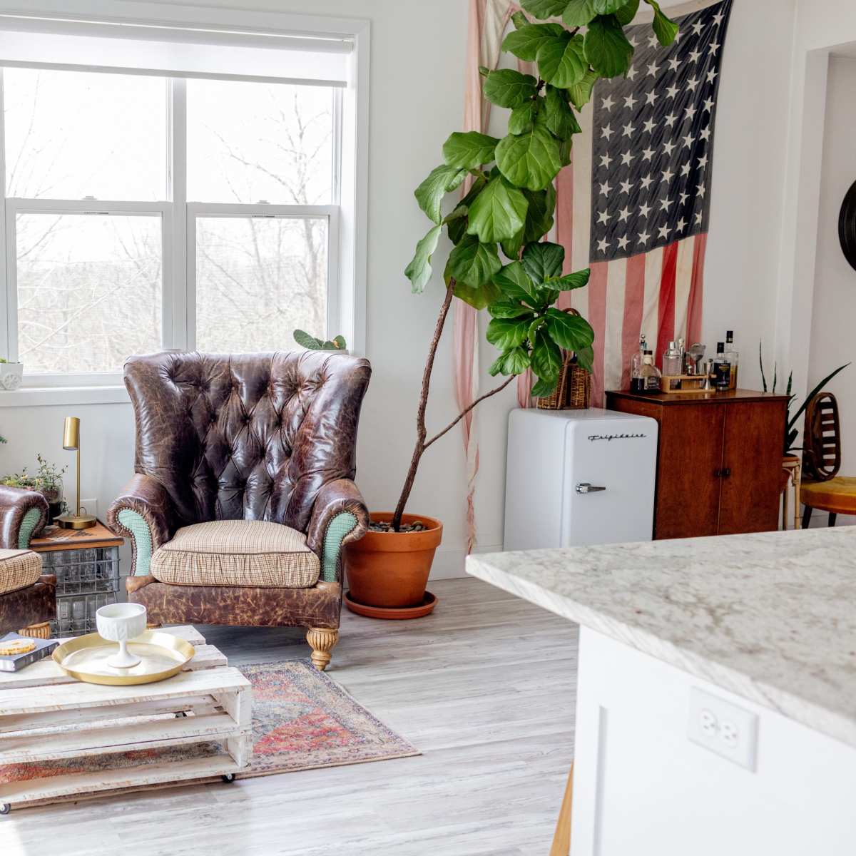 Two vintage leather armchairs positioned next to a potted plant and an American flag hanging on the wall in a bright, airy room.