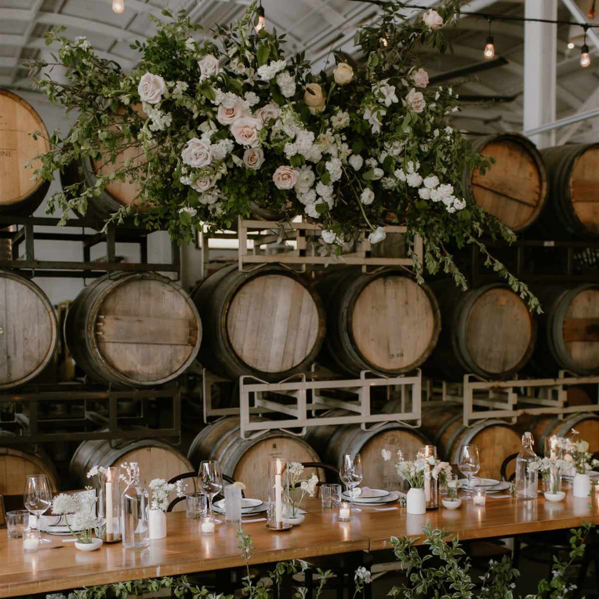 Plant & Light Filled Urban Winery in Portland Image in Southeast Portland, Portland, OR