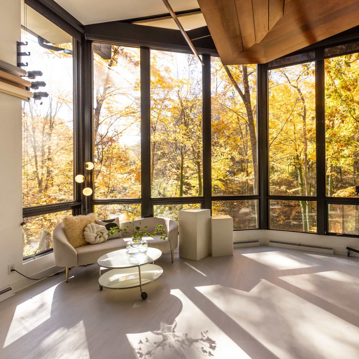 Unique Photo Studio in Luxury Mid Century Modern Home in Pittsburgh Image in Bethel Park, Pittsburgh, PA