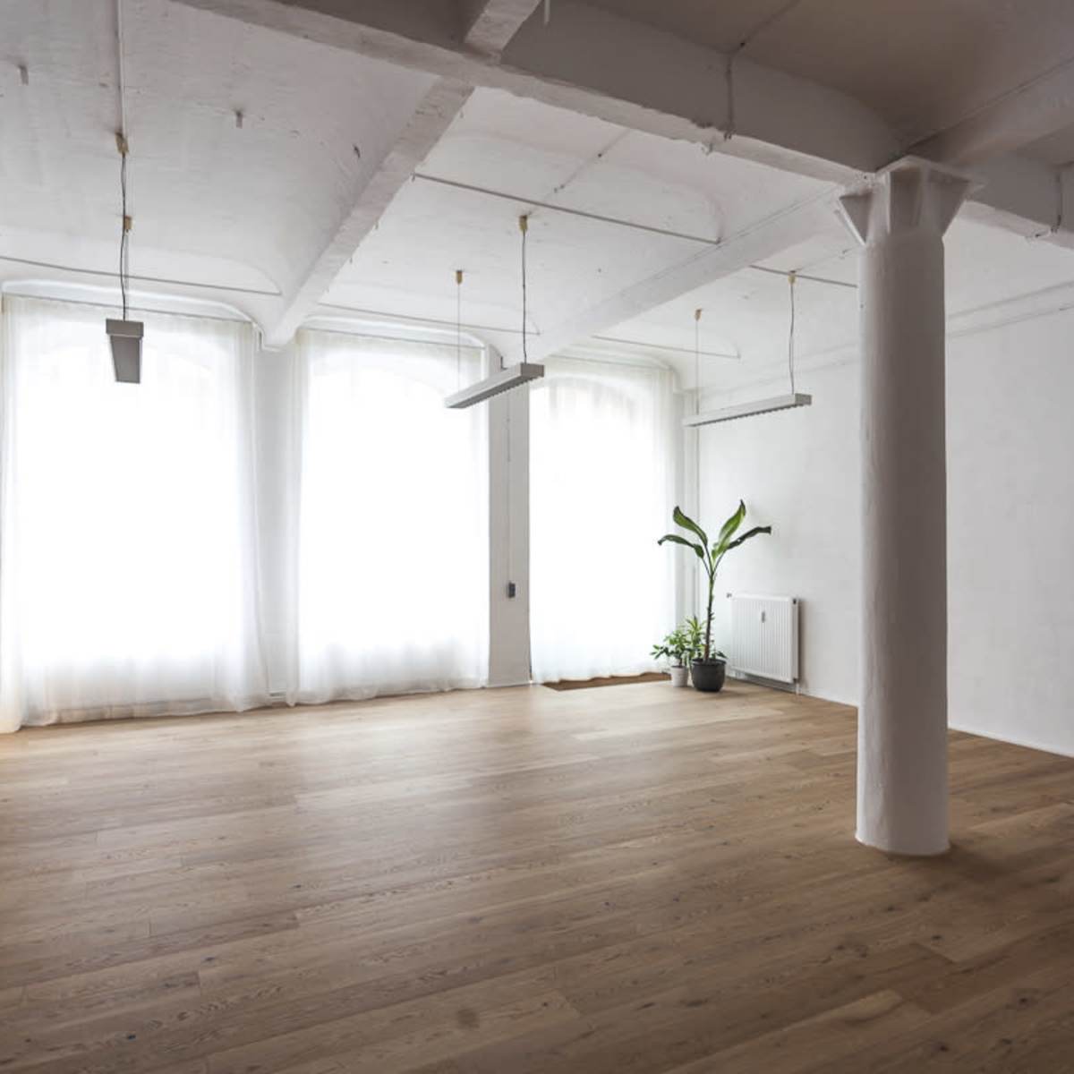 A spacious, minimalist room with wooden flooring, large windows covered by sheer curtains, and a potted plant in the corner.