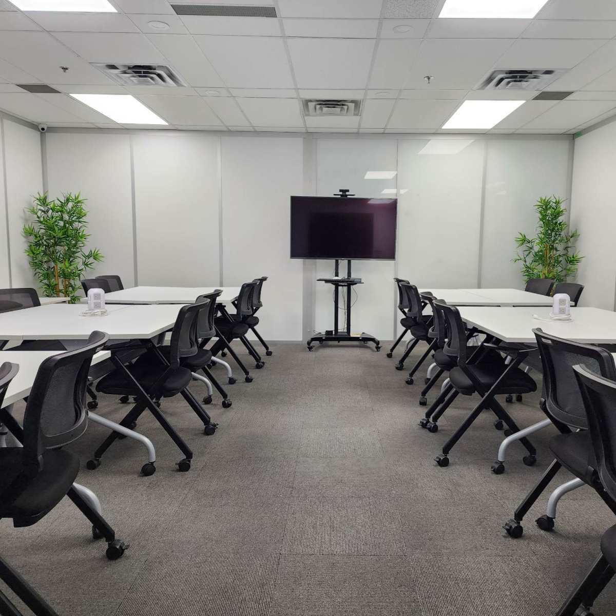 A conference room features multiple white tables and black chairs arranged in a U-shape, with a television on a stand at one end and potted plants in the corners.