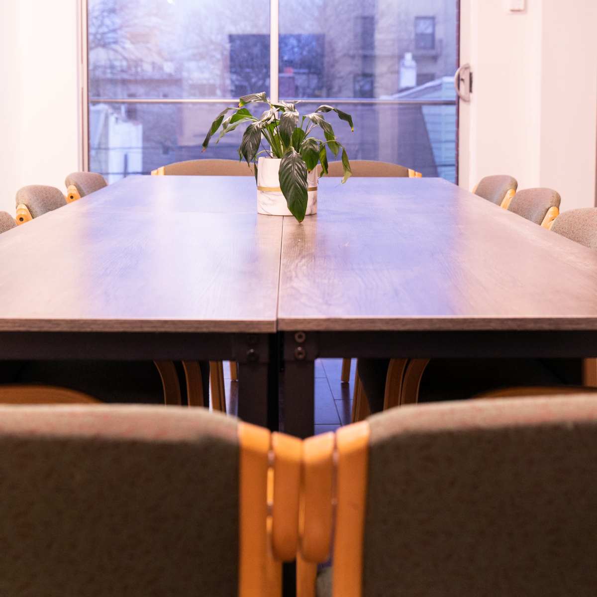 A long wooden dining table is set in a brightly lit room, with a small potted plant in the center and chairs arranged around it, facing a large window.
