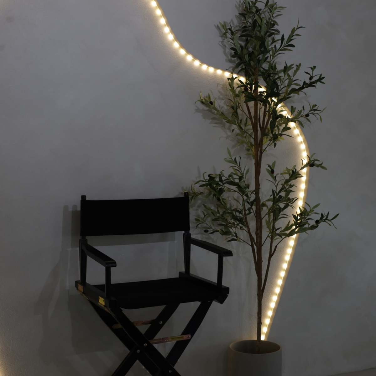 A black director's chair is placed next to a potted plant against a softly illuminated wall.