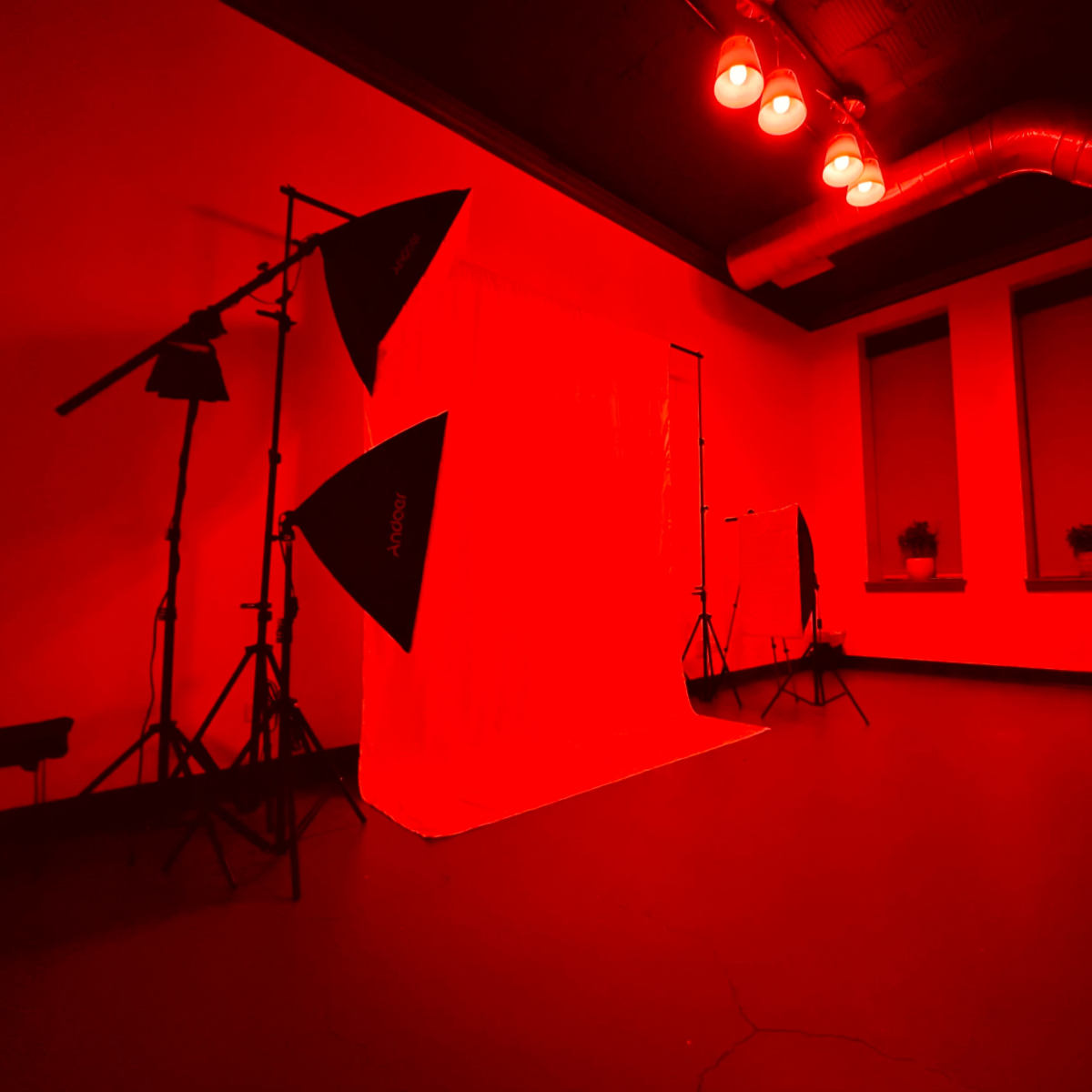 A photography studio features a red backdrop, lighting equipment, and two windows with plants.