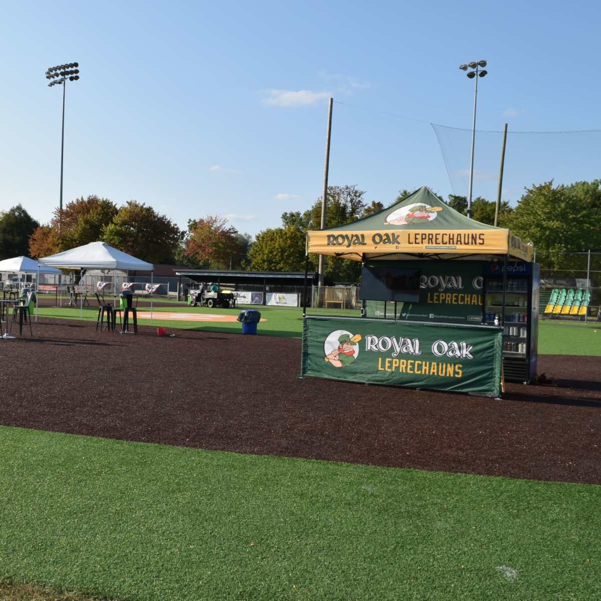 Baseball Field in Prime Location in Royal Oak Image in Berkley, Royal Oak, MI