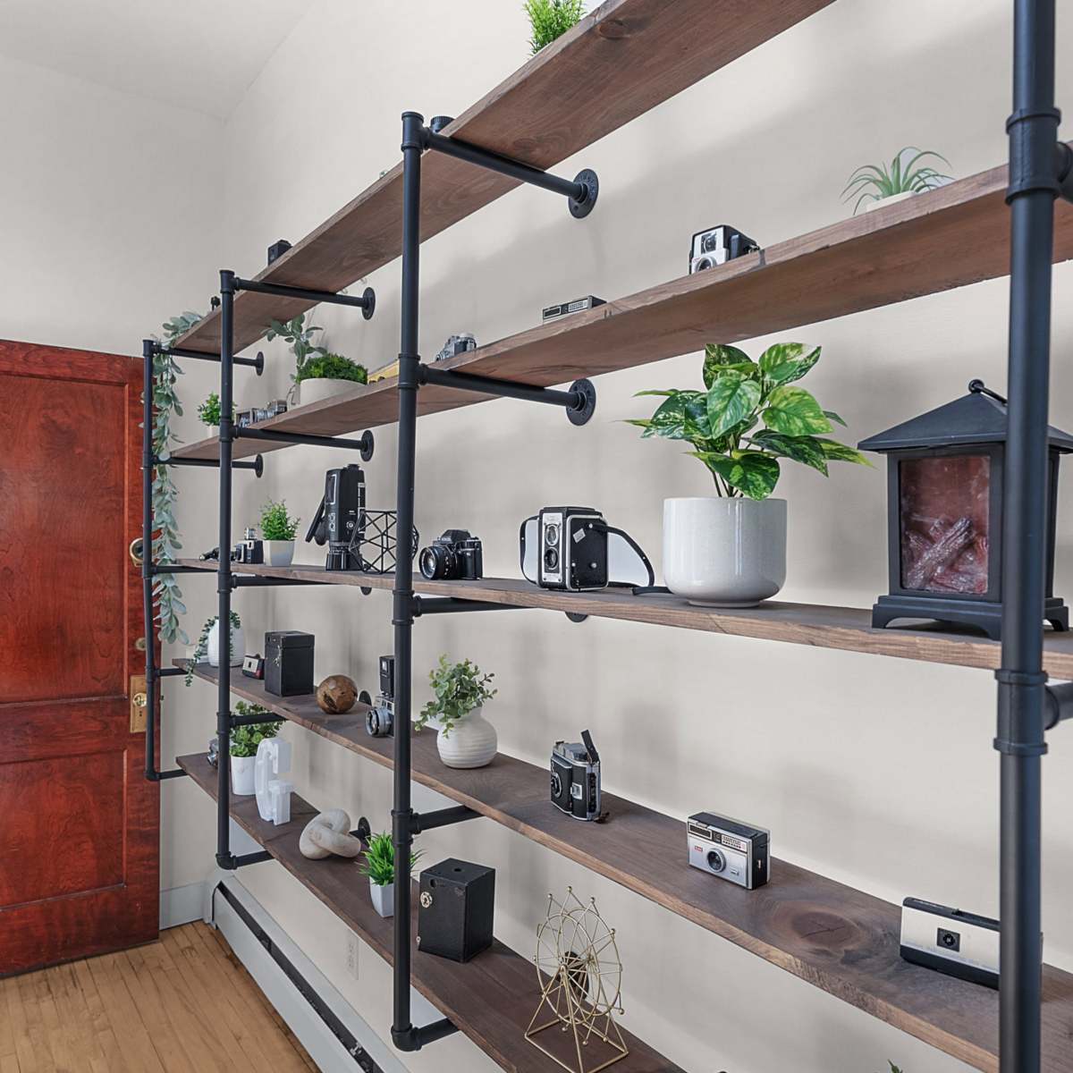 A series of wooden shelves supported by metal brackets displays various plants and vintage cameras against a light wall.