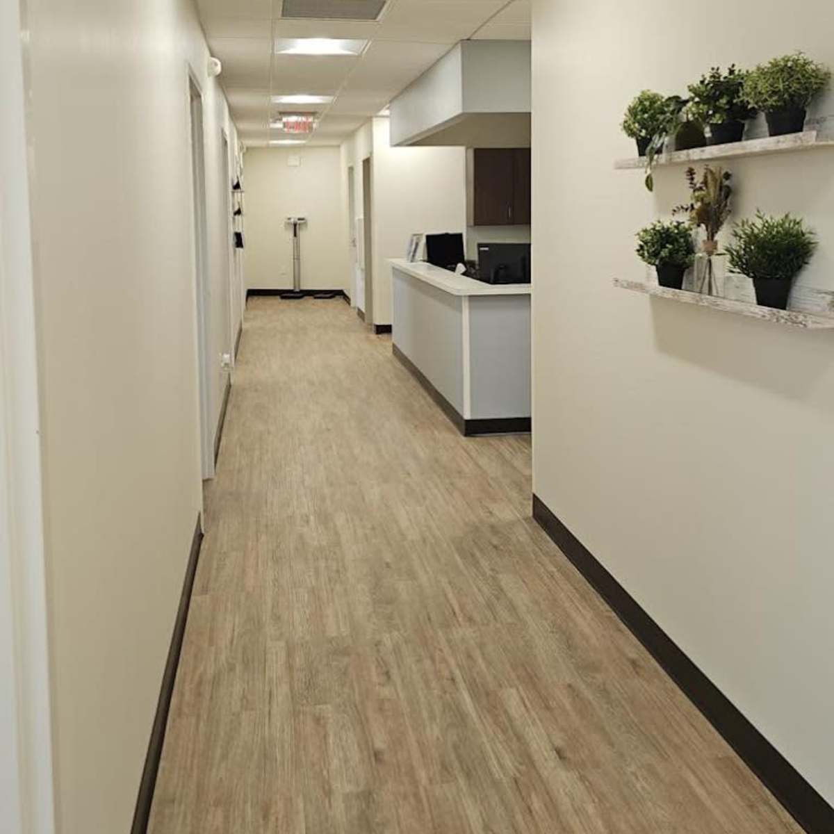 A long, well-lit hallway with light-colored walls, a reception desk at the end, and greenery displayed on shelves along one side.