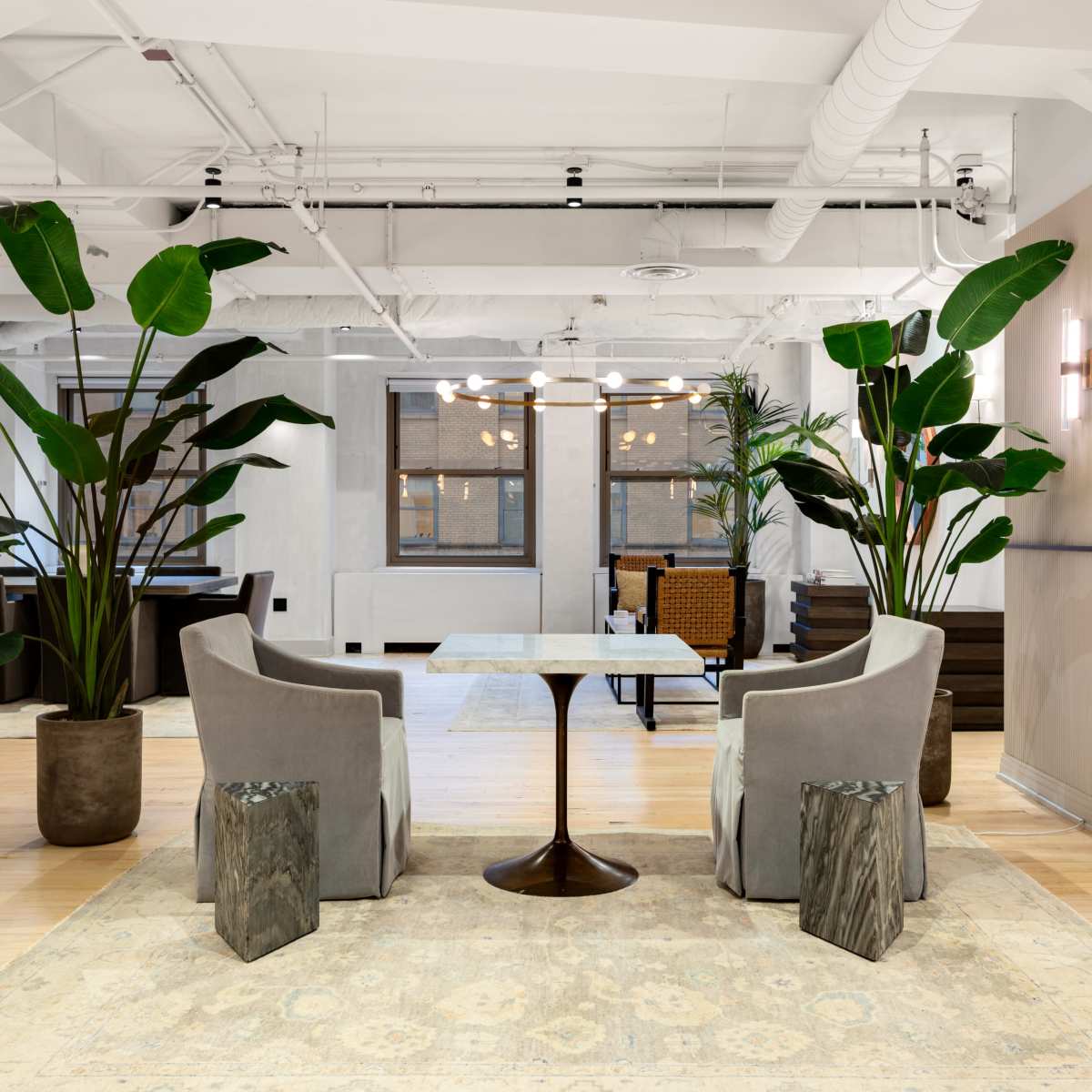 A modern lounge area featuring two gray chairs and a small round table, surrounded by large indoor plants and a decorative rug.