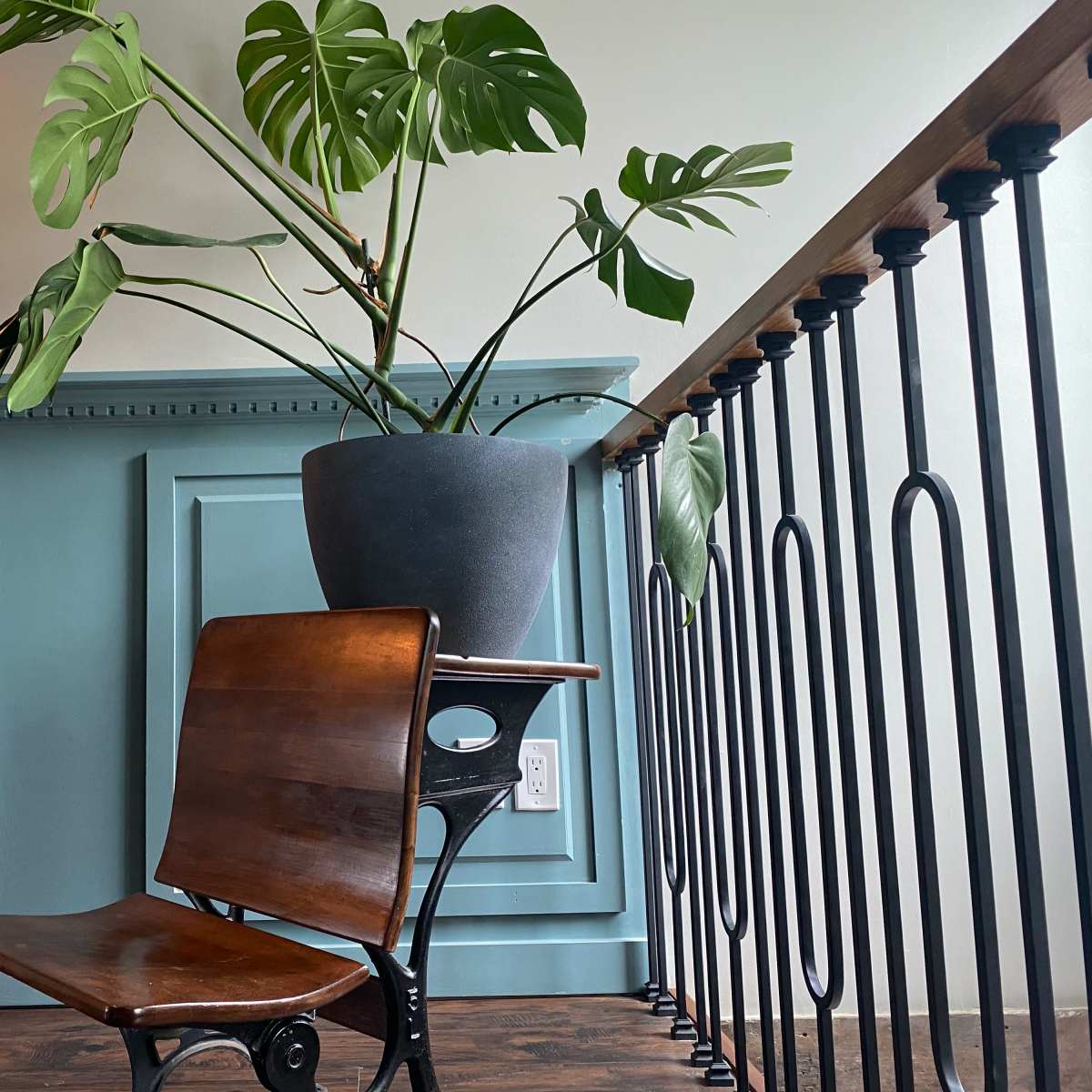 A wooden chair with a black metal base holds a large potted plant against a blue-painted wall with a framed picture on a shelf above it.