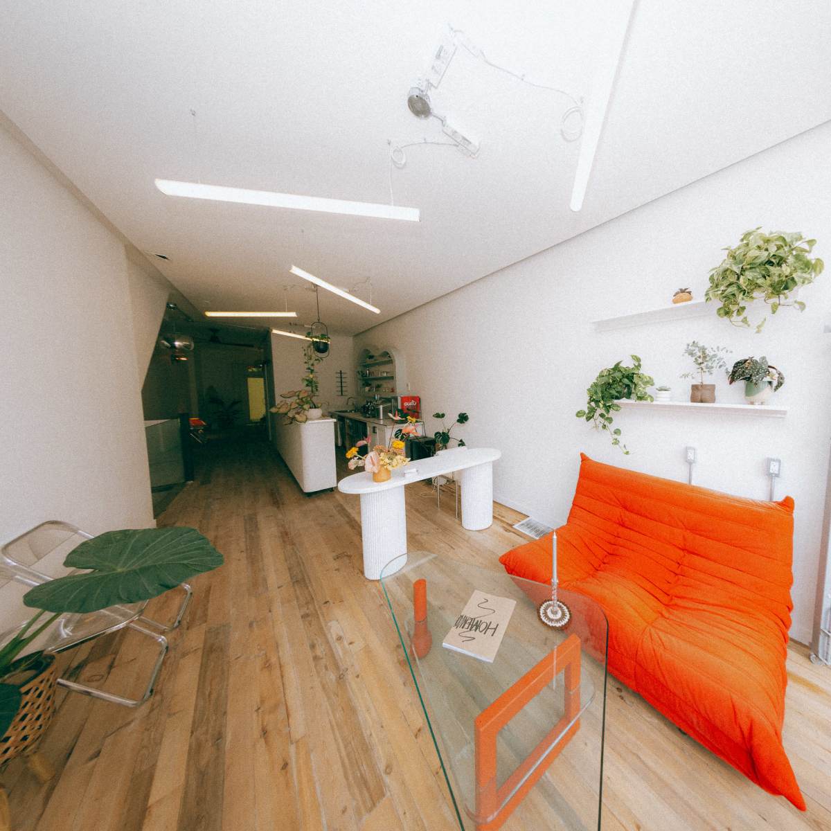 A bright, minimalist interior of an elongated room featuring a red sofa, a glass table, and various plants on shelves and surfaces.
