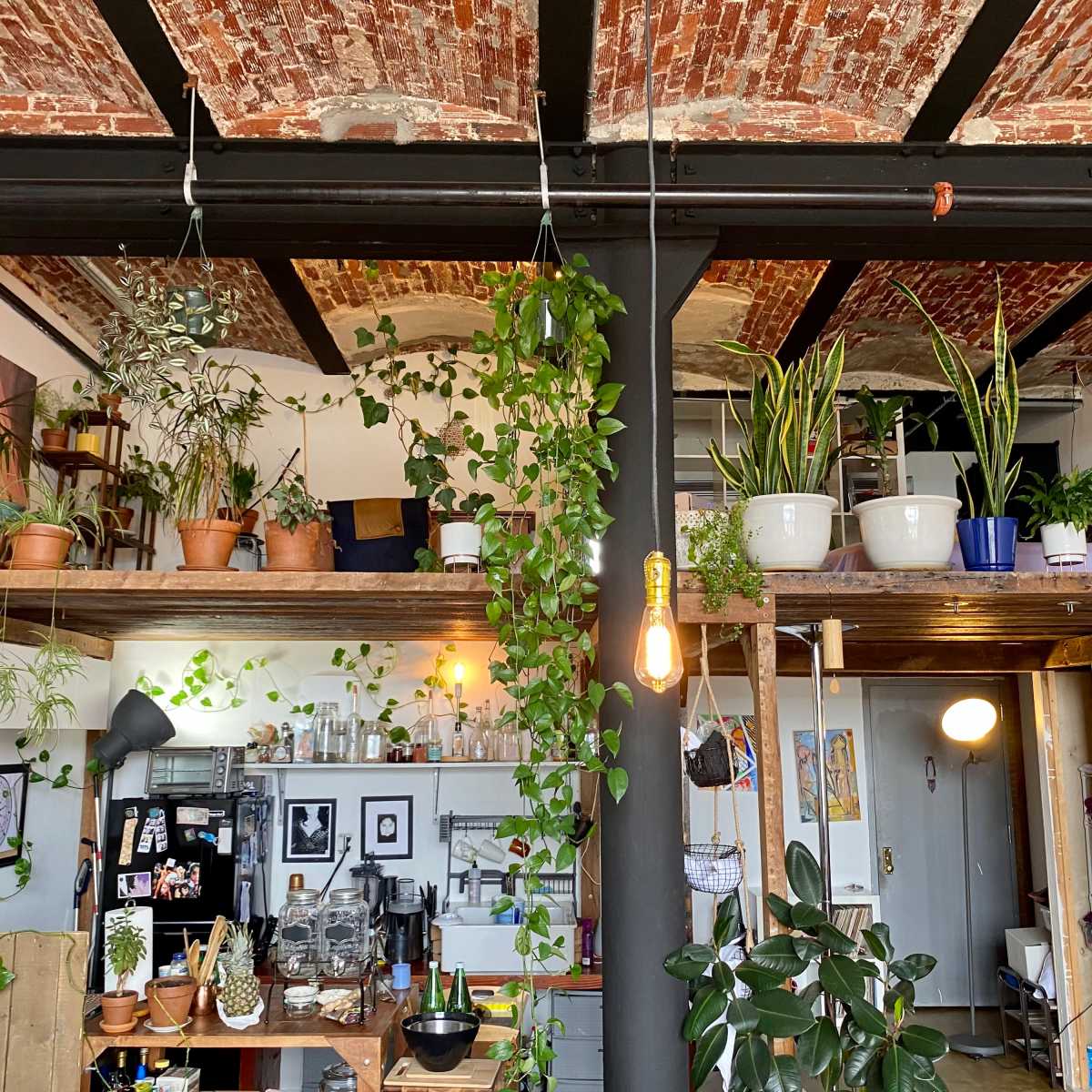 A spacious loft-style apartment with plants arranged on wooden shelves, high ceilings, and an open kitchen visible in the background.