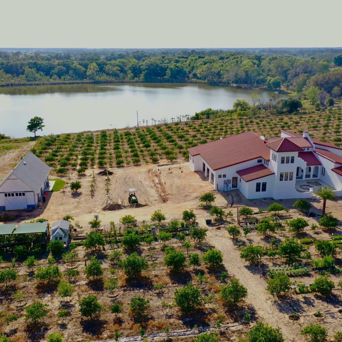 A large, modern house with a red roof sits beside a lake, surrounded by rows of trees in an orchard.