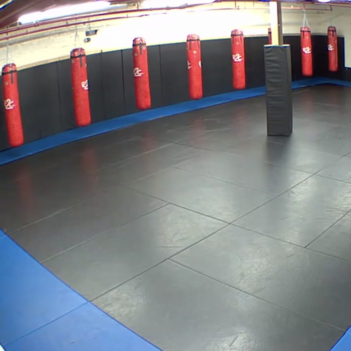 A training room with black and blue flooring, surrounded by red punching bags positioned against the walls.