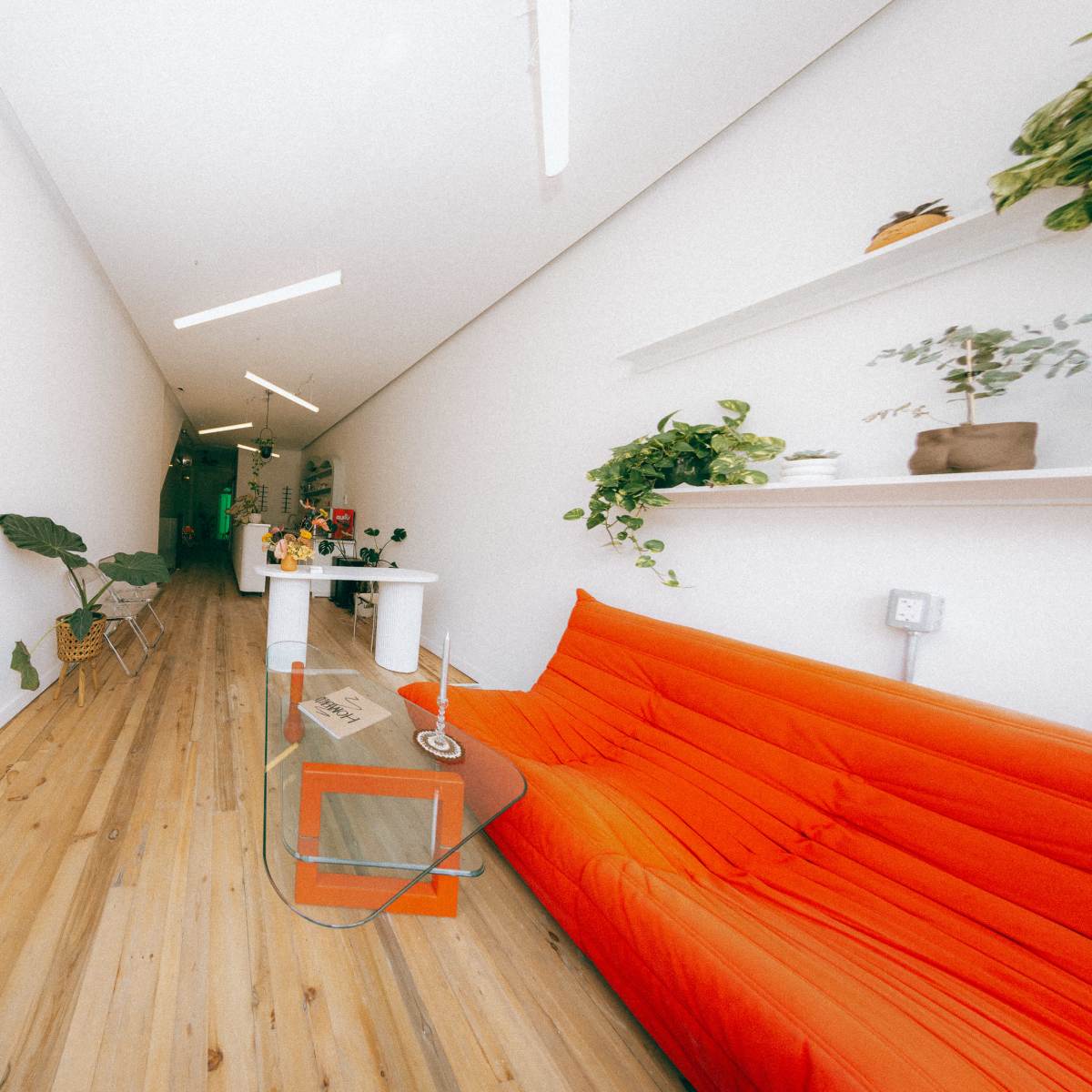 A narrow hallway with white walls, wooden flooring, an orange sofa on one side, and plants along the wall and shelves.