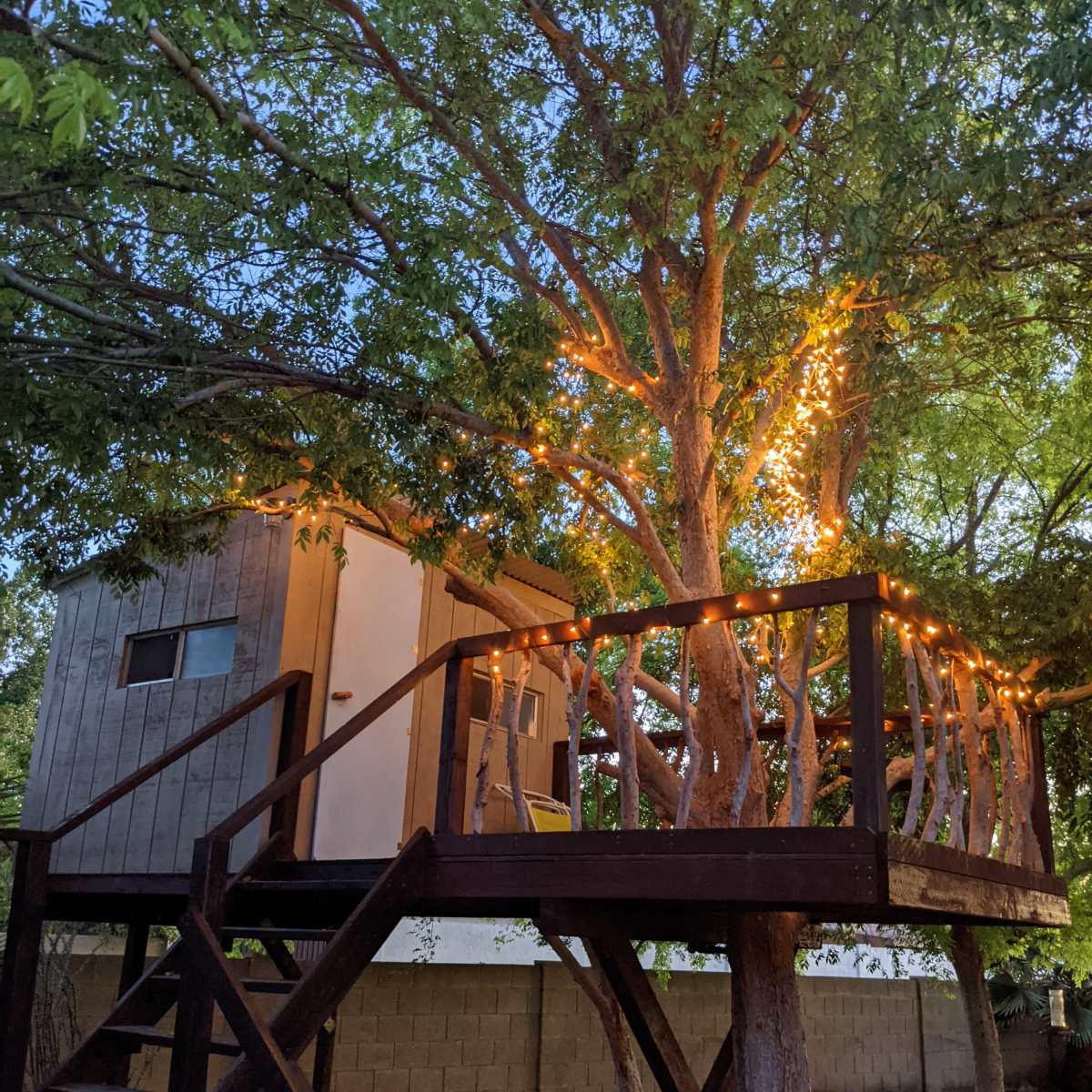A wooden treehouse, illuminated by string lights, is built among the branches of a tree and accessed by a set of stairs.