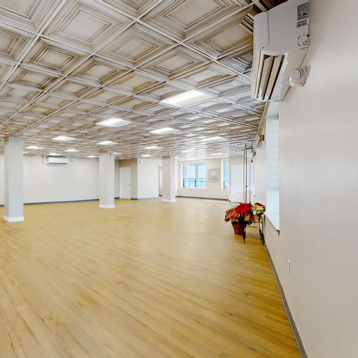 An empty indoor space with a patterned ceiling, wooden flooring, and a potted plant in the corner.