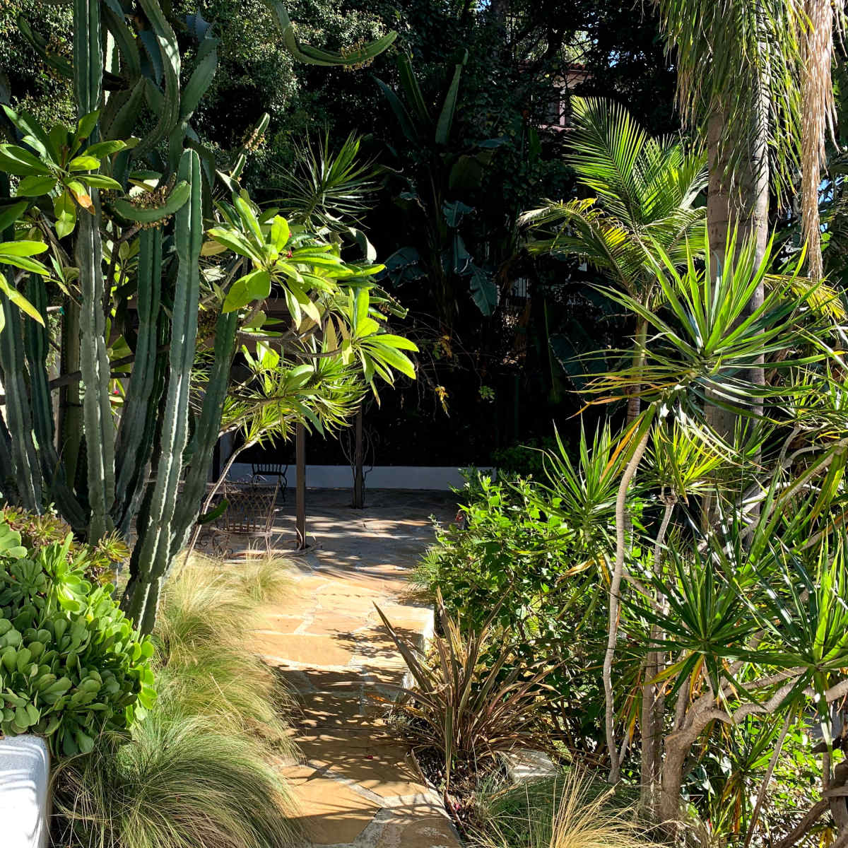The scene depicts a stone pathway leading through a tropical garden filled with various plants and cacti.