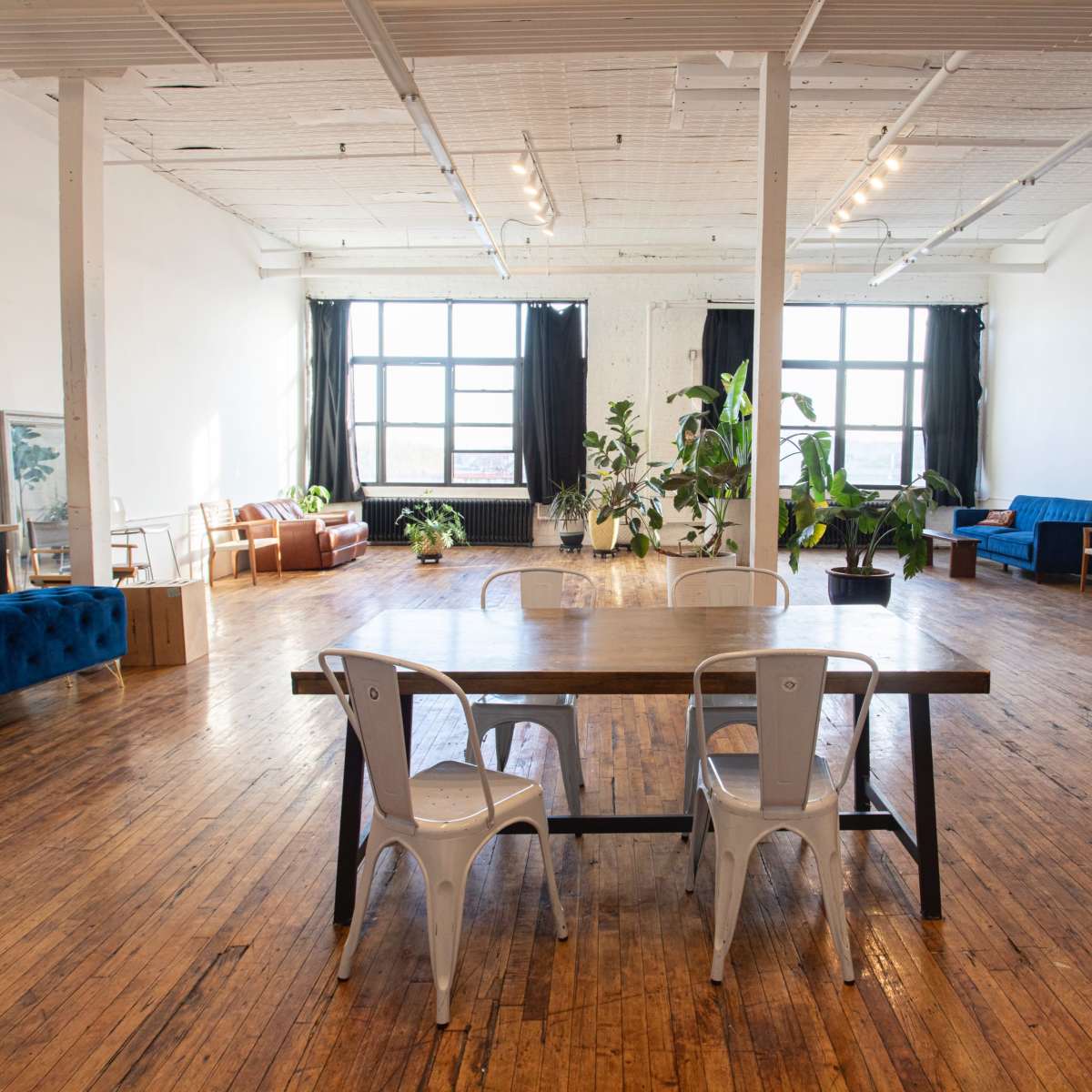 Matka Sosna: Spacious Super Bright Bushwick L Train Studio 🌴 Free Profoto+ARRI Lighting 🌴 Tropical Jungle 🌴 w/Hardwood Floors 15’ Ceilings / Profoto in Brooklyn Image in East Williamsburg, Brooklyn, NY