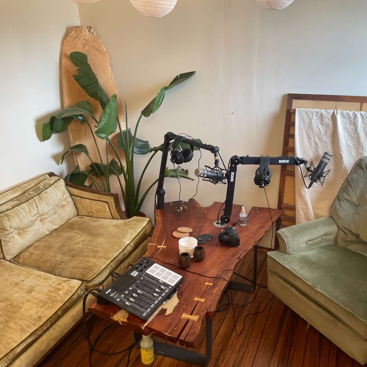A cozy recording setup with a table featuring microphones and equipment, surrounded by a green armchair and a worn sofa in a room with plants.