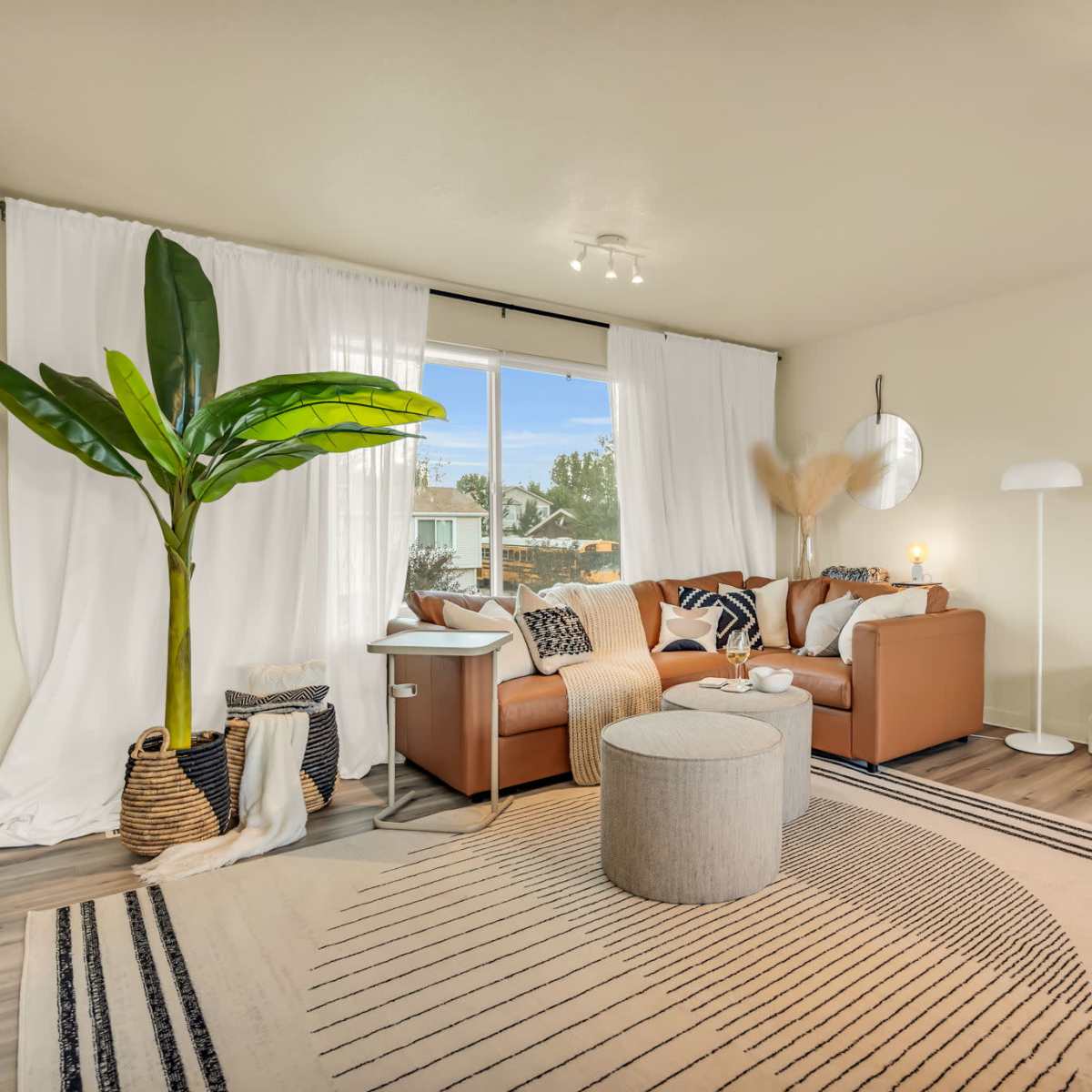 A modern living room with a tan leather sofa, a round coffee table, a large indoor plant, and a window adorned with white curtains, allowing natural light to fill the space.