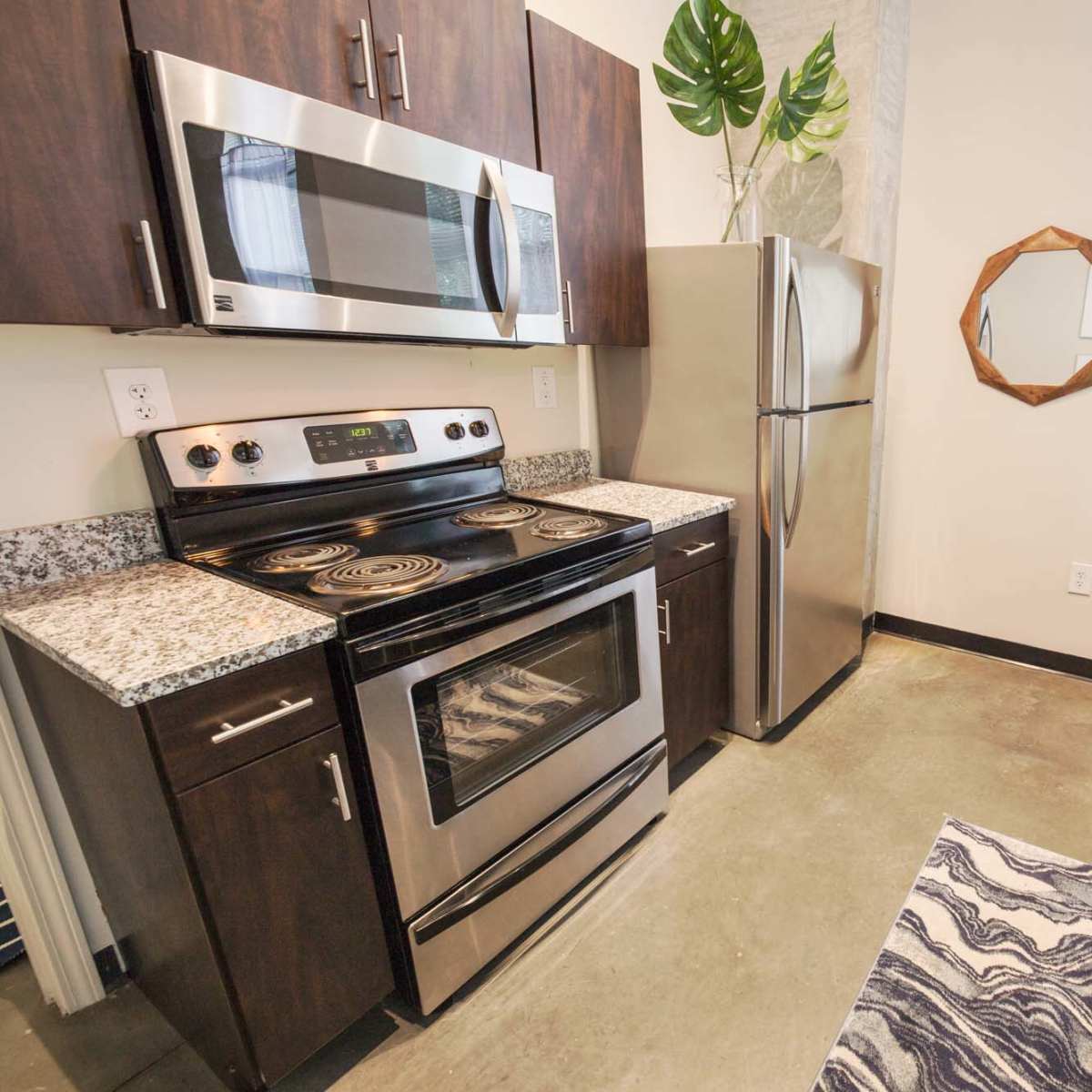 A modern kitchen featuring stainless steel appliances, granite countertops, and a decorative plant near a window.