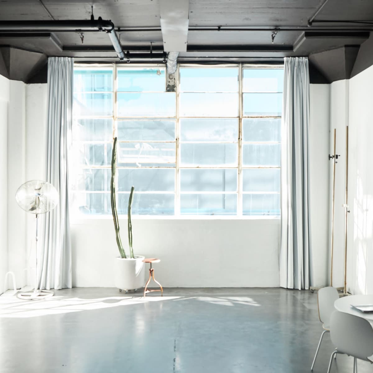 A spacious room features large windows, white walls, a table with chairs, and a potted plant.