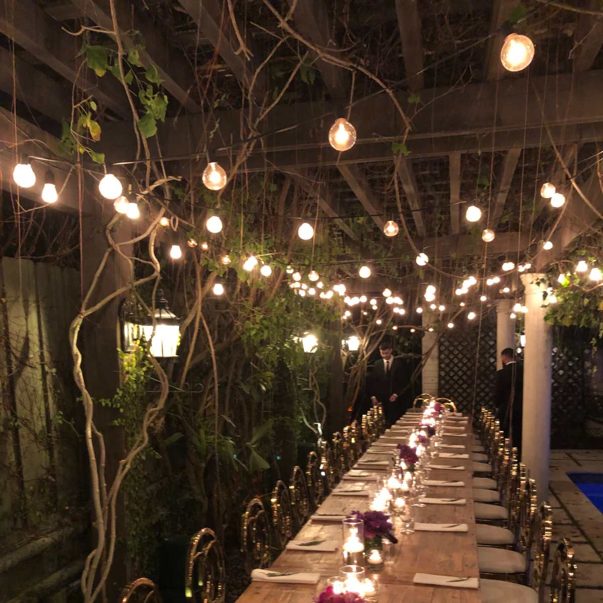 A long wooden table set for dinner, surrounded by chairs and illuminated by string lights overhead among vines and greenery.