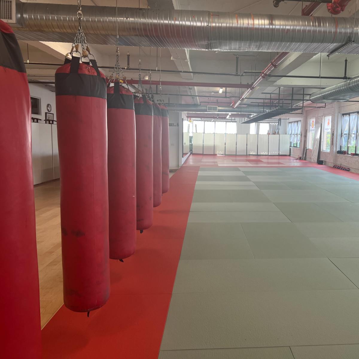 An empty martial arts training room with red punching bags hanging from the ceiling and green mats on the floor.
