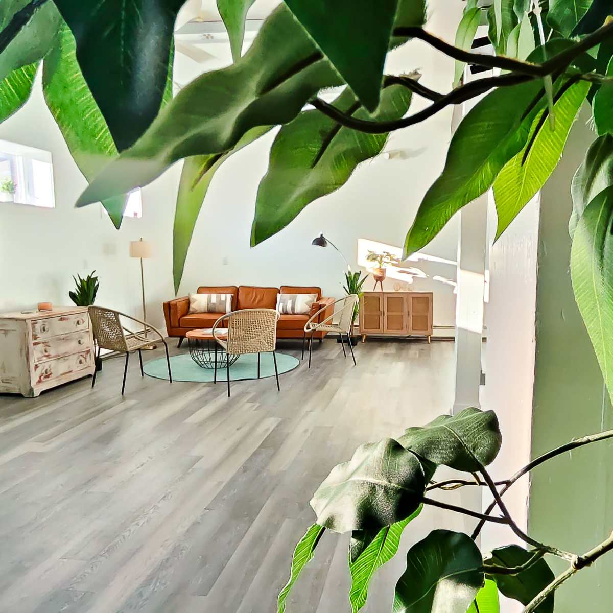 A cozy room features a brown leather sofa, two chairs, a light rug, and plants, framed by large green leaves.