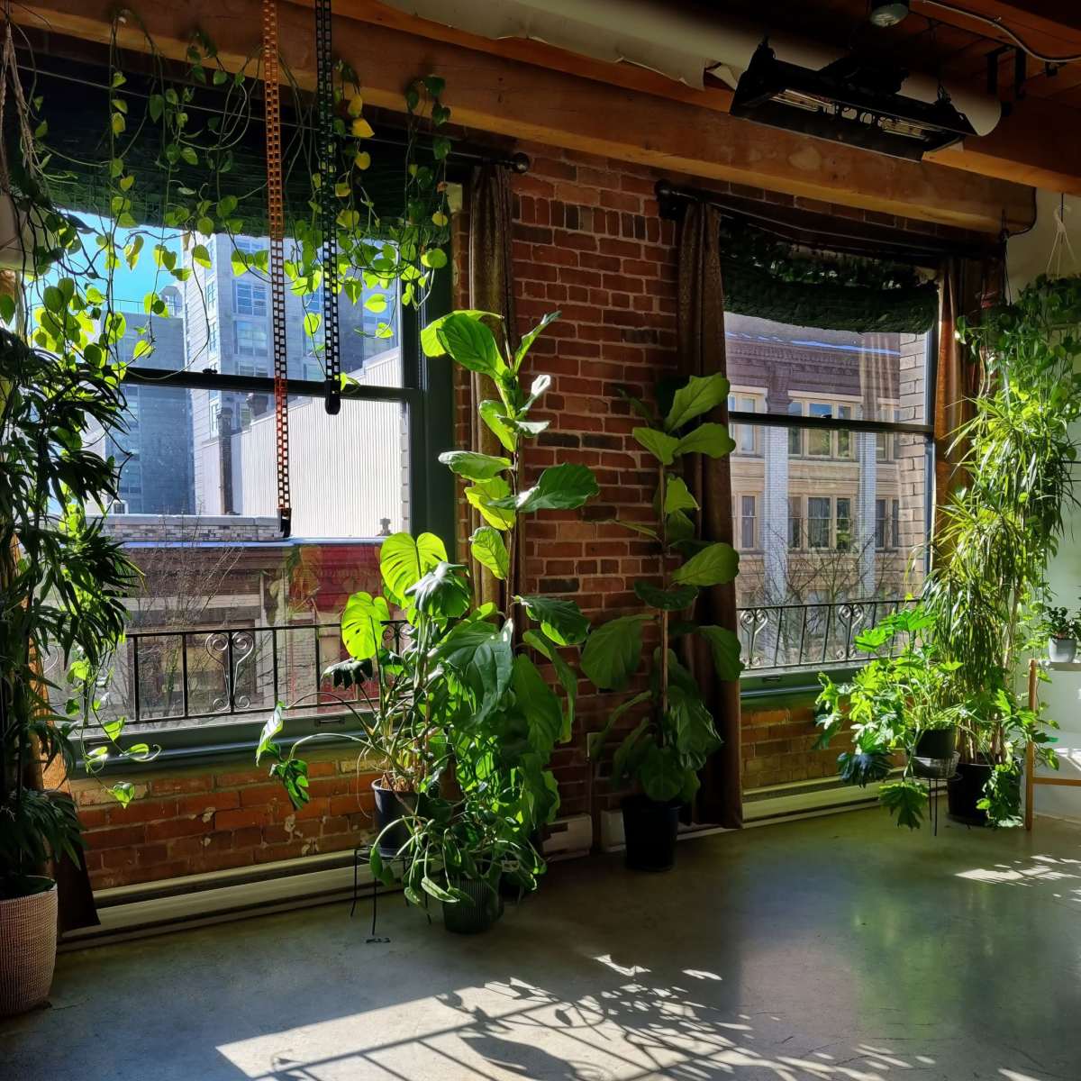 Paxkan - Bright and Modern wellness studio in Vancouver Image in Downtown Eastside, Vancouver, BC