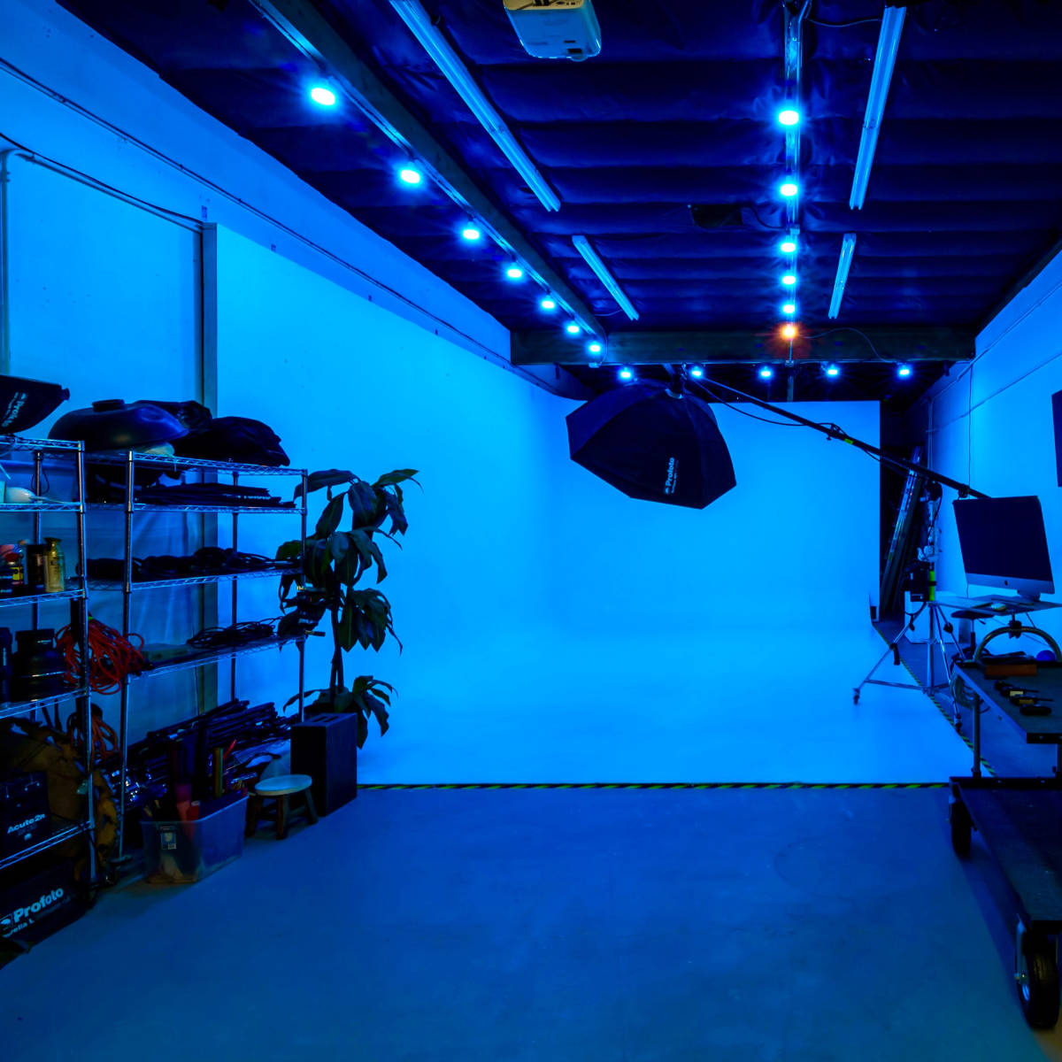 A photography studio features blue lighting, a white backdrop, and various colored backdrops along the side.