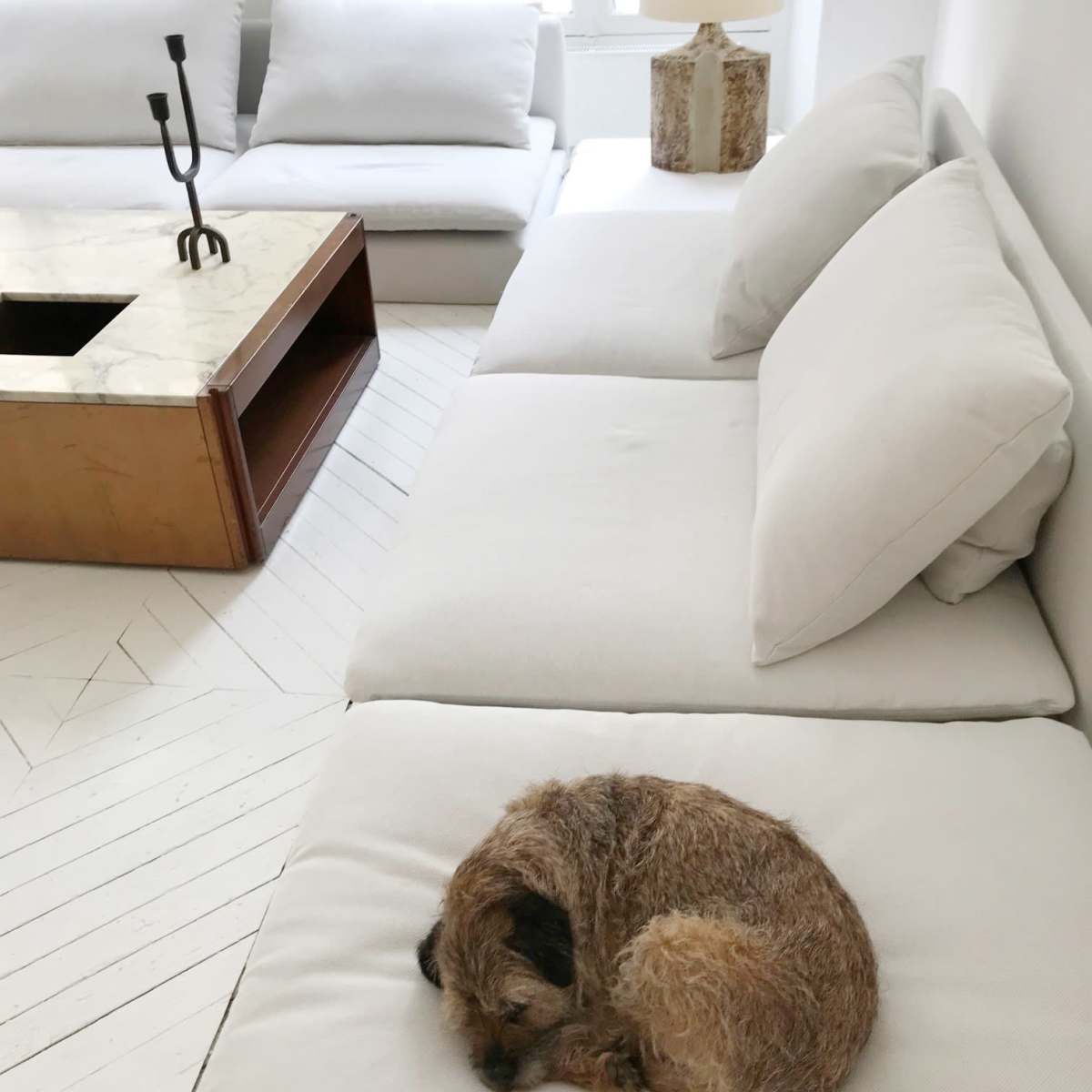 A small dog is curled up on a white sofa in a minimalist living room with light wooden flooring and a coffee table.