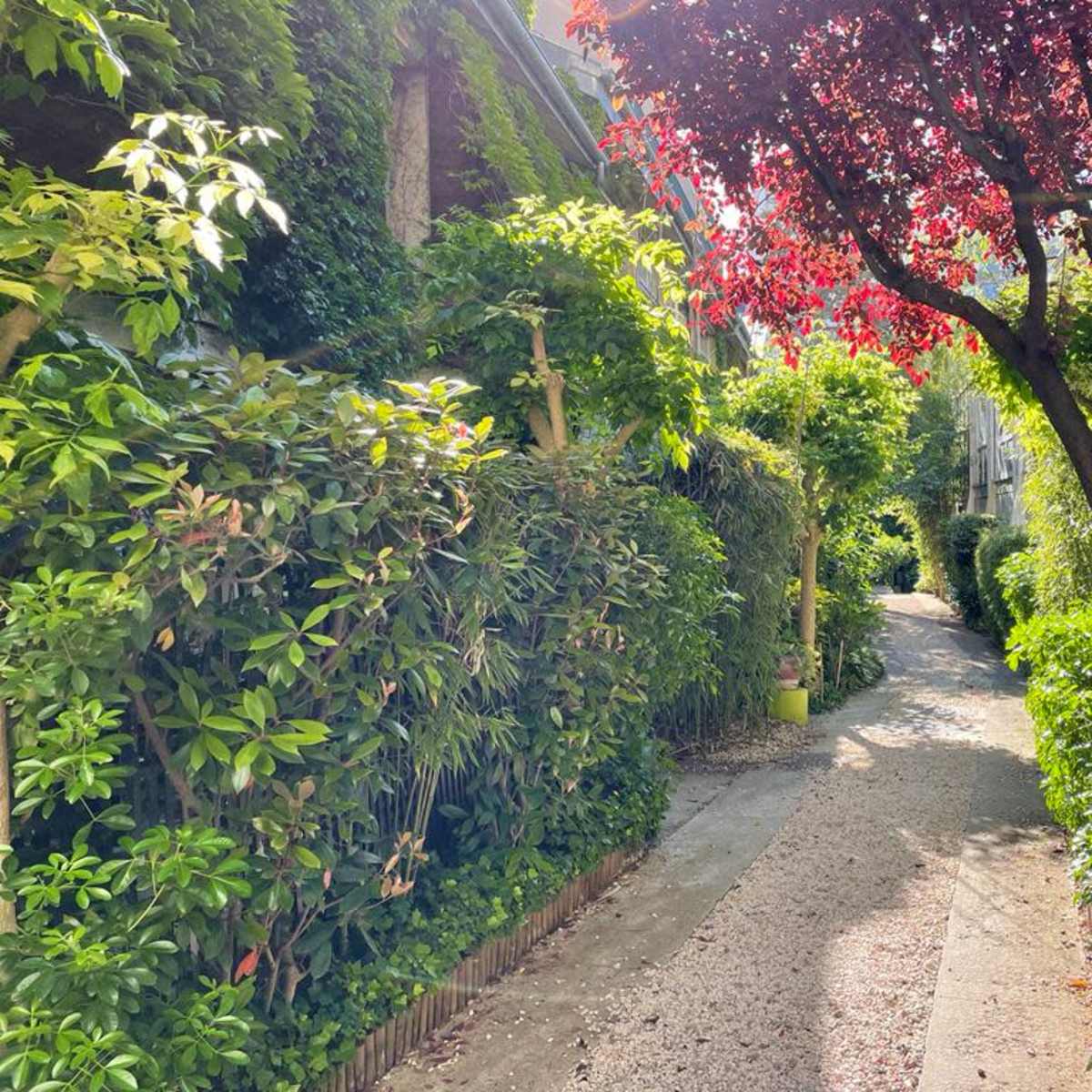 A narrow path lined with lush greenery and vibrant trees leads through a serene garden setting.