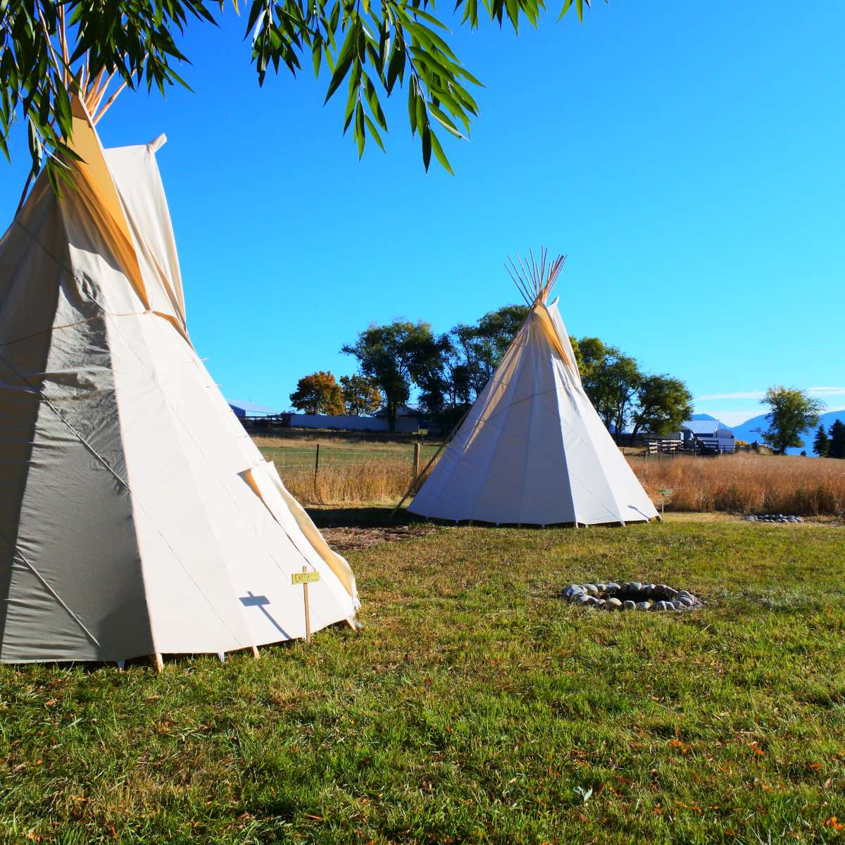 Two teepees are set up on a grassy area surrounded by trees and distant mountains under a clear blue sky.