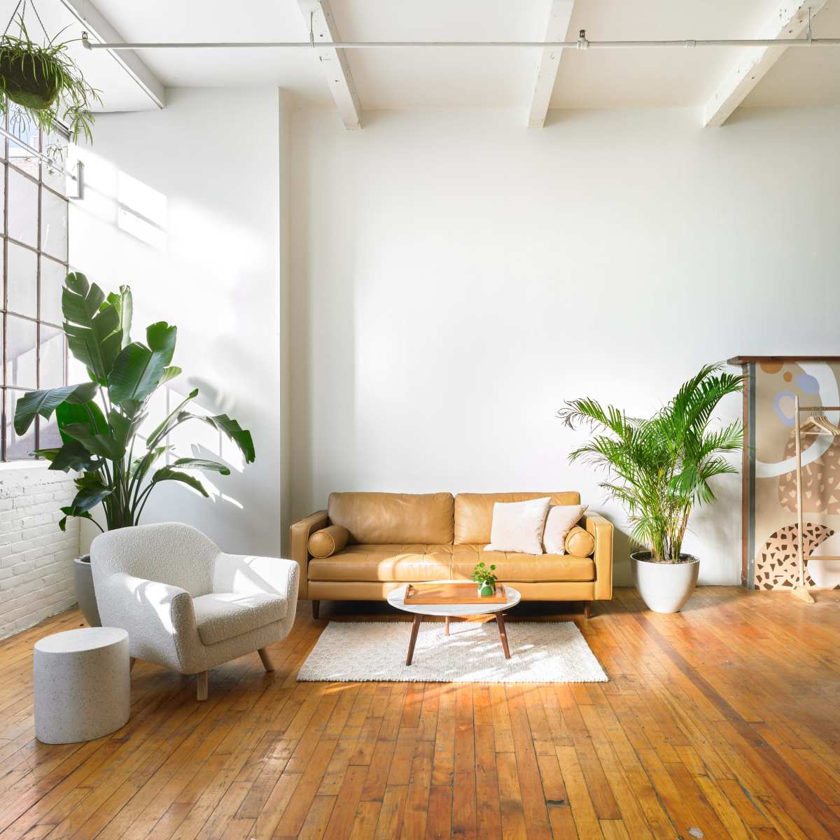 A modern living room features a tan leather sofa, a light-colored chair, a round coffee table, and various indoor plants, all set against a backdrop of white walls and wooden flooring.