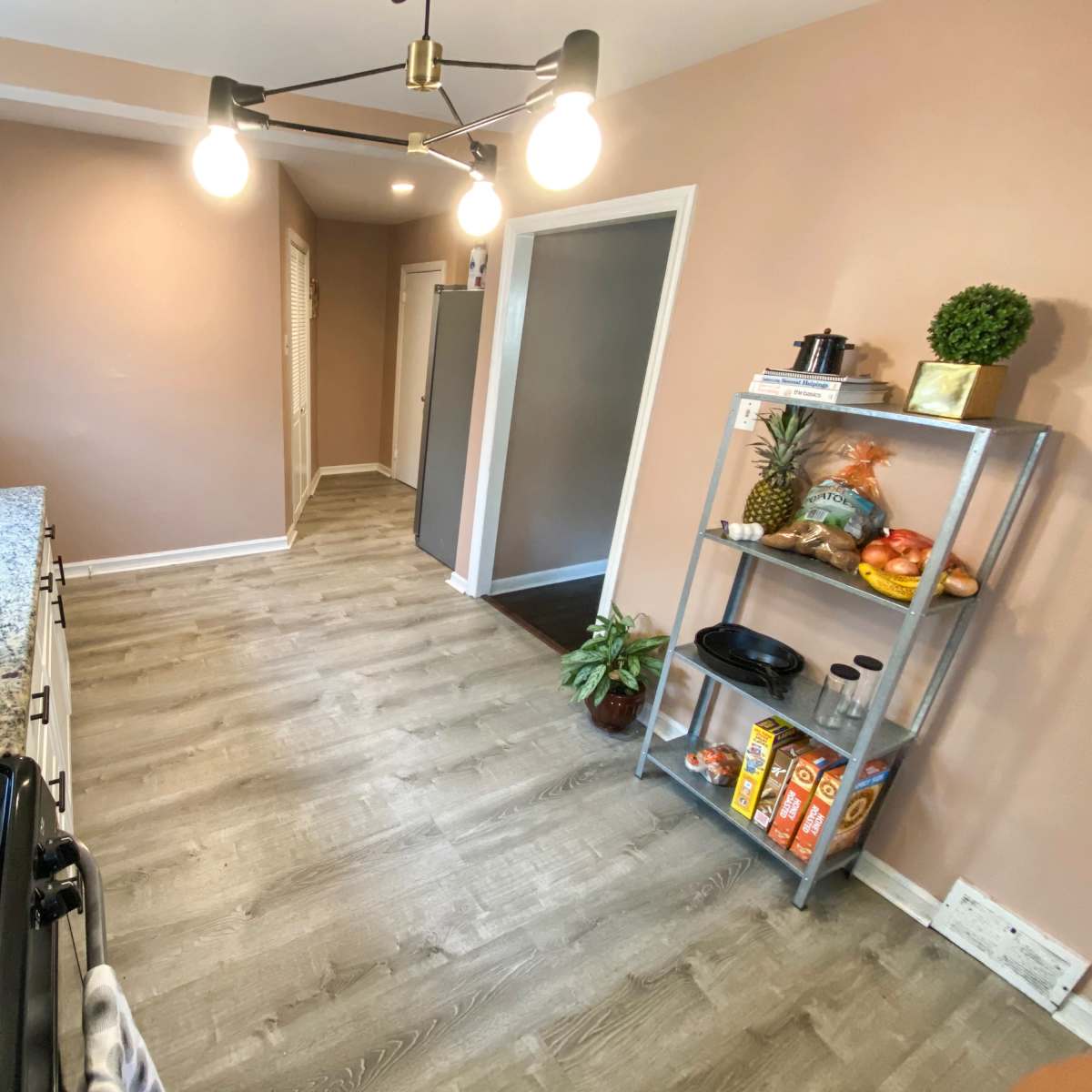 A kitchen interior with a granite counter, a gas stove, and a metal shelf displaying various food items and plants.
