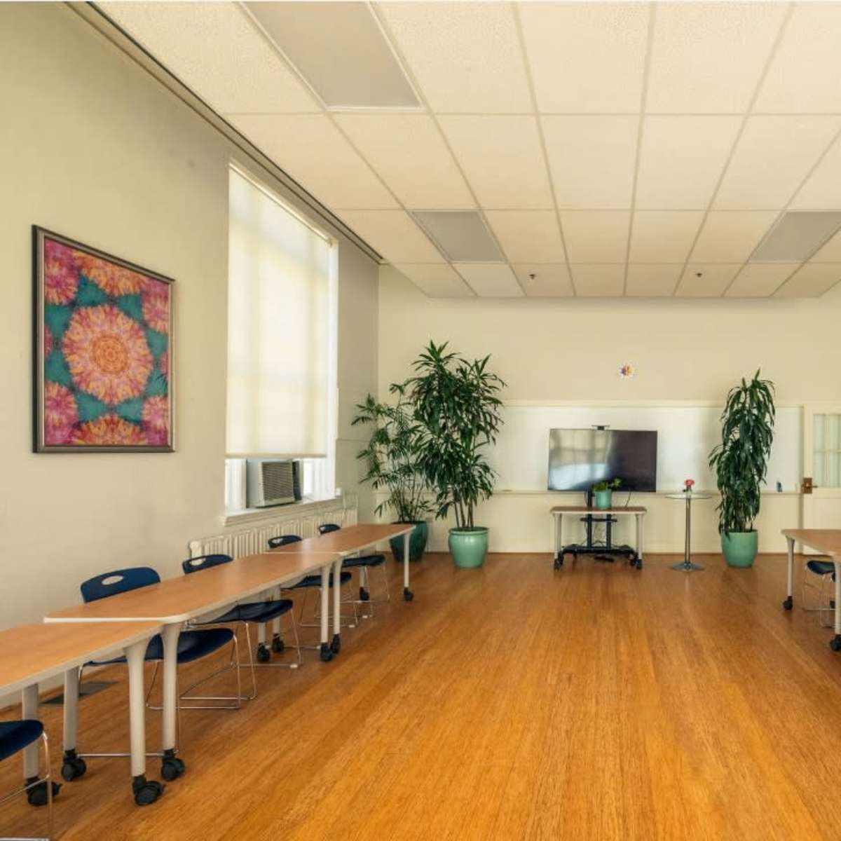 A spacious classroom features two rows of tables and chairs, large windows, and potted plants along the walls.