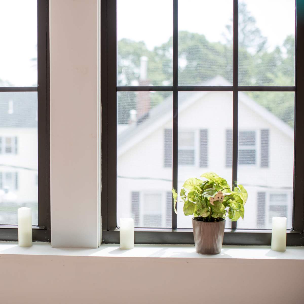 A window with two panes and a small potted plant on the sill, accompanied by three candles.
