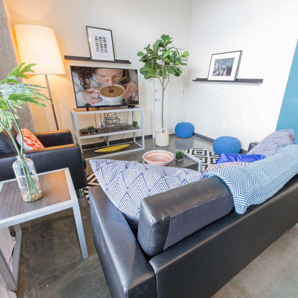 The living room features a sectional couch with patterned throw pillows, a television on a media console, and potted plants beside a floor lamp.