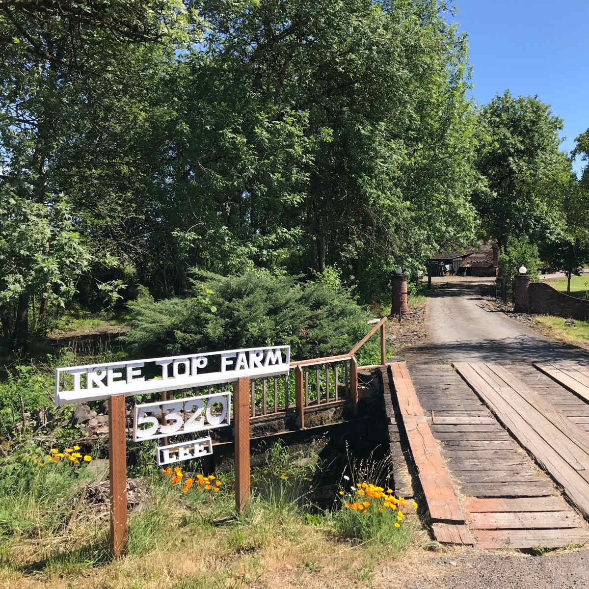 A wooden bridge leads to a dirt road flanked by greenery, with a sign indicating "Tree Top Farm" and the address 5220.